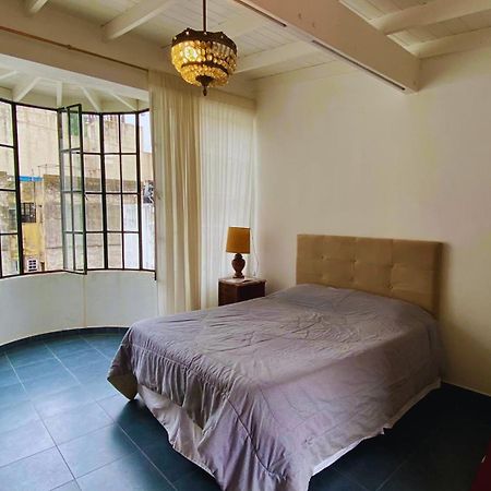 La Casa Del Loro, San Telmo - 8 Habitaciones Buenos Aires Kültér fotó